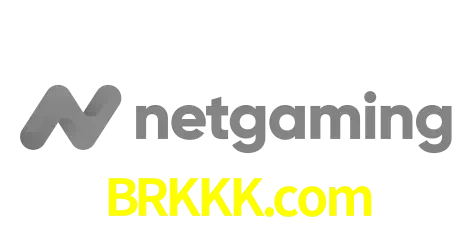 NetGaming